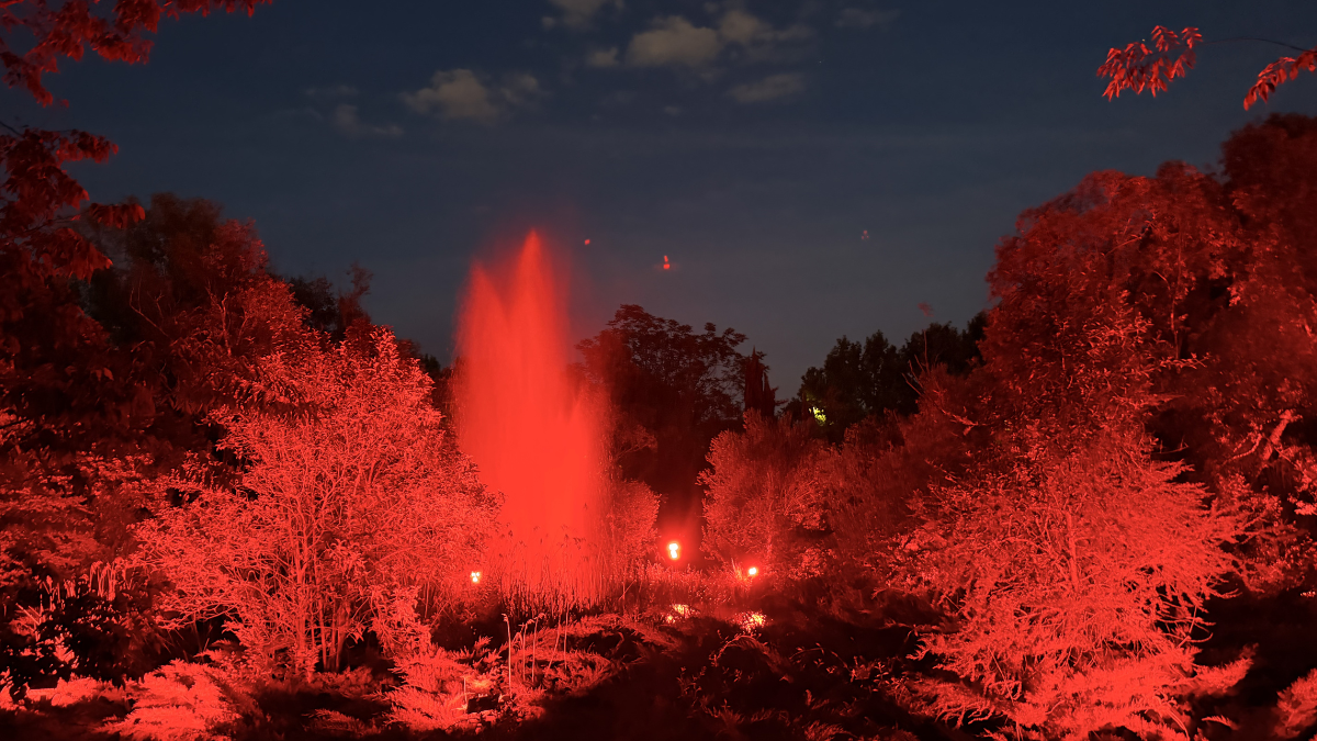 Géiser del Real Jardín Botánico Alfonso XIII iluminado con motivo del "Bring Thal To Light"